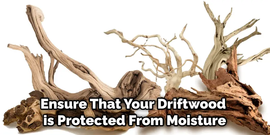 Ensure That Your Driftwood is Protected From Moisture