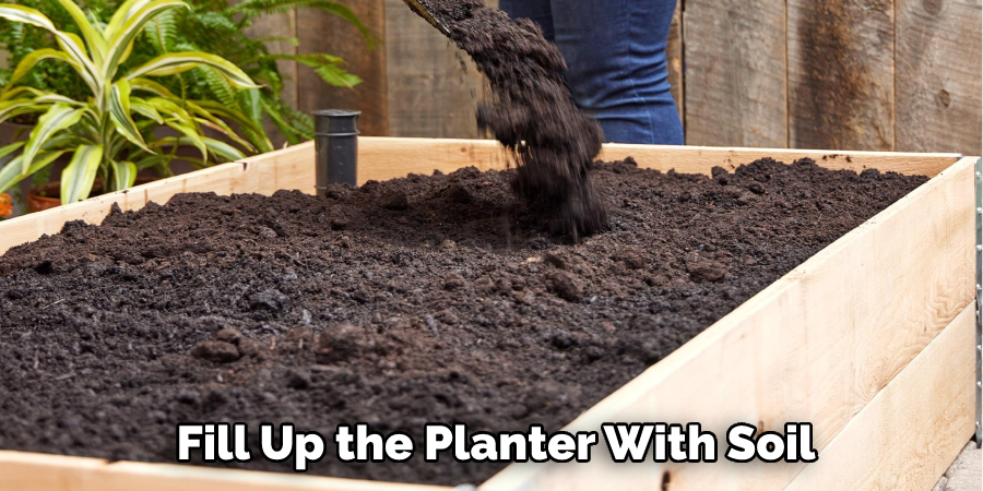 Fill Up the Planter With Soil