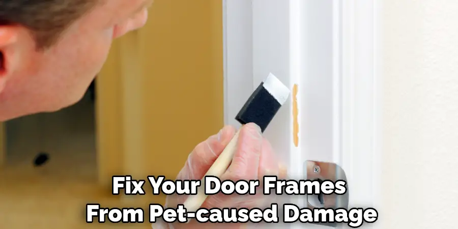 Fix Your Door Frames From Pet-caused Damage