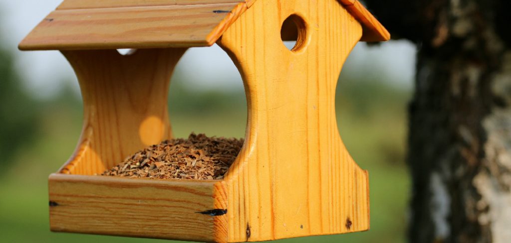 How to clean wooden bird perches