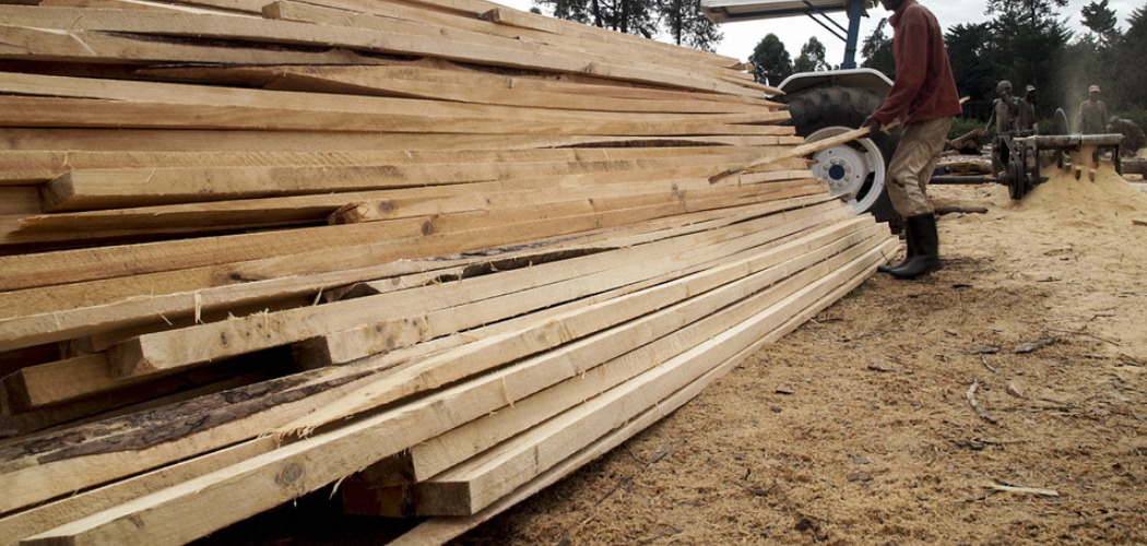 How to Cut Pressure Treated Wood