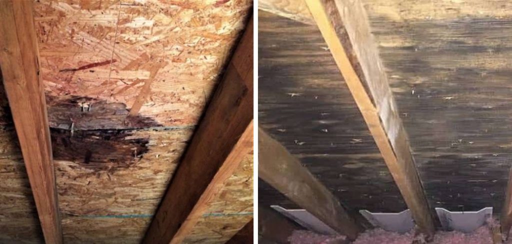 How to Remove Mold From Attic Plywood