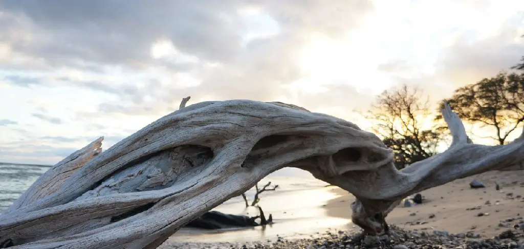 How to Remove Tannins From Driftwood