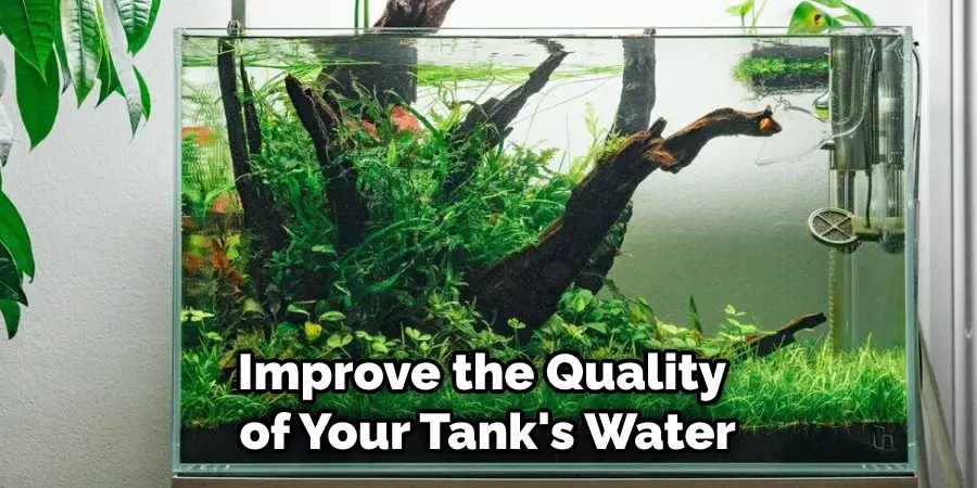 Improve the Quality of Your Tank's Water