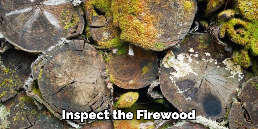 Inspect the Firewood