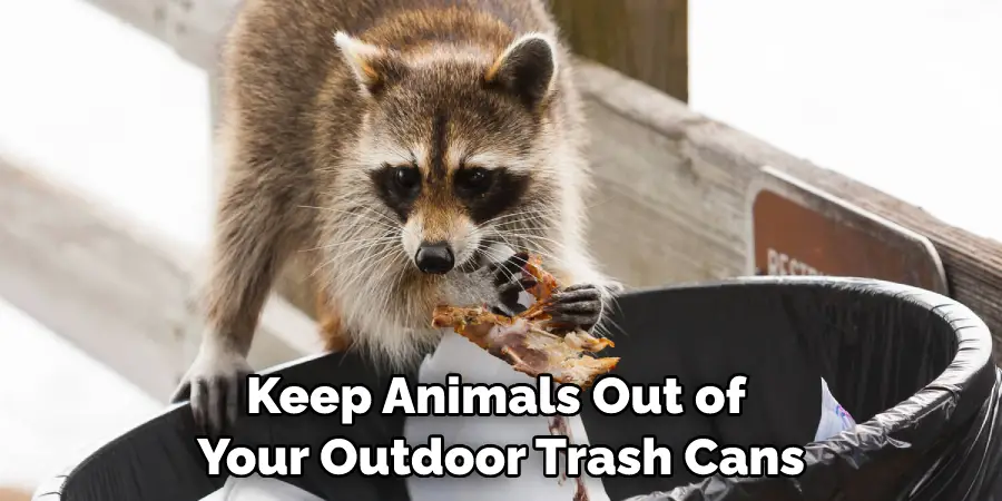 Keep Animals Out of Your Outdoor Trash Cans
