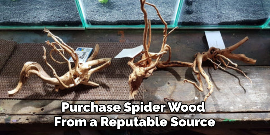 Purchase Spider Wood From a Reputable Source