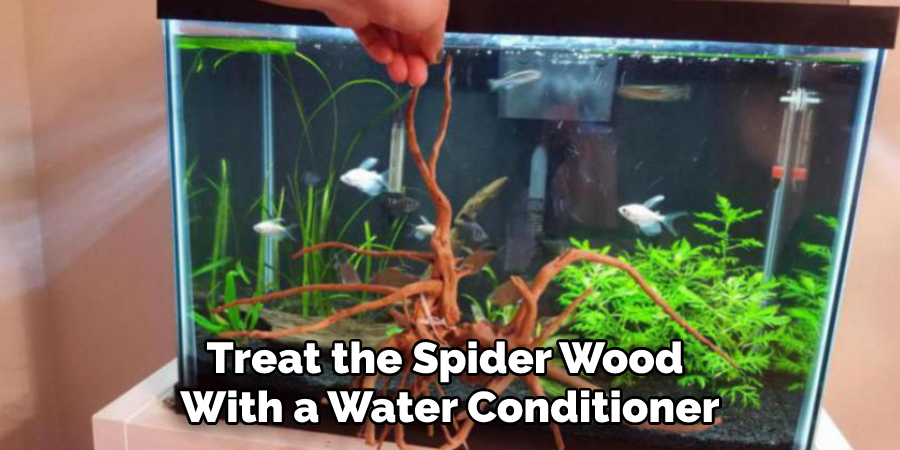 Treat the Spider Wood With a Water Conditioner