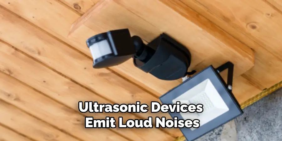 Ultrasonic Devices Emit Loud Noises