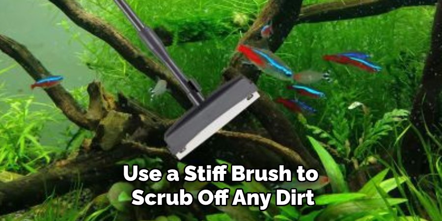 Use a Stiff Brush to Scrub Off Any Dirt