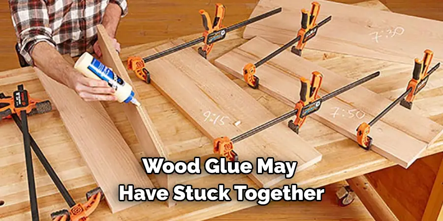 Wood Glue May Have Stuck Together