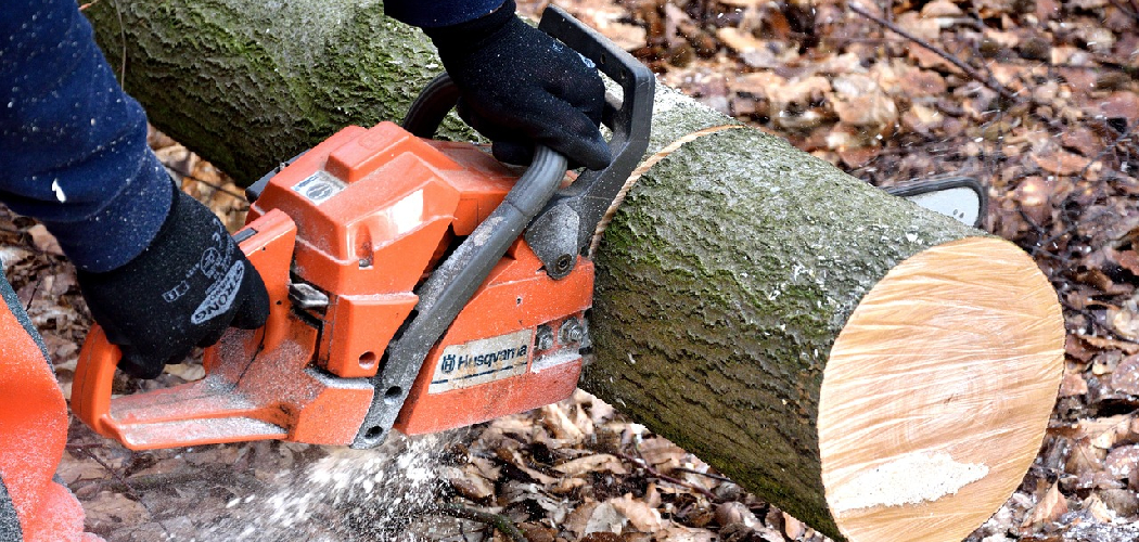 How to Cut Firewood With a Chainsaw | 5 Useful Steps (2025)