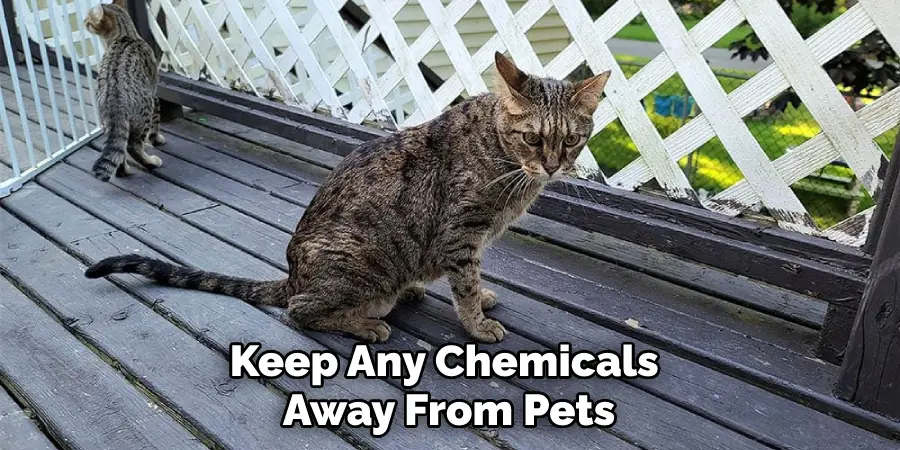 Keep Any Chemicals Away From Pets