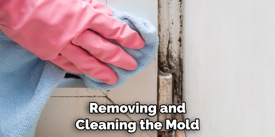 Removing and Cleaning the Mold