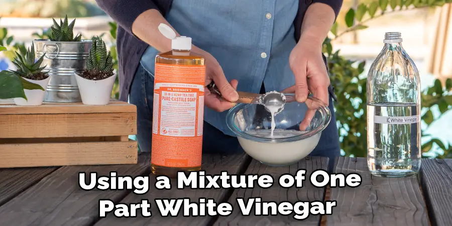Using a Mixture of One Part White Vinegar 