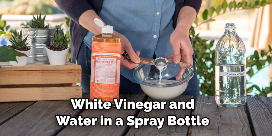 White Vinegar and Water in a Spray Bottle