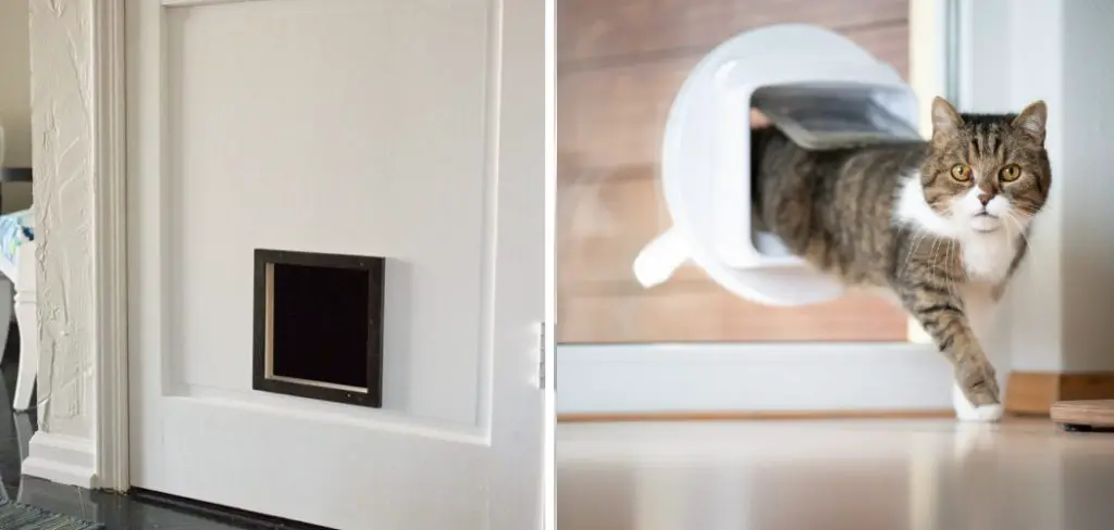 How to Cover a Cat Door
