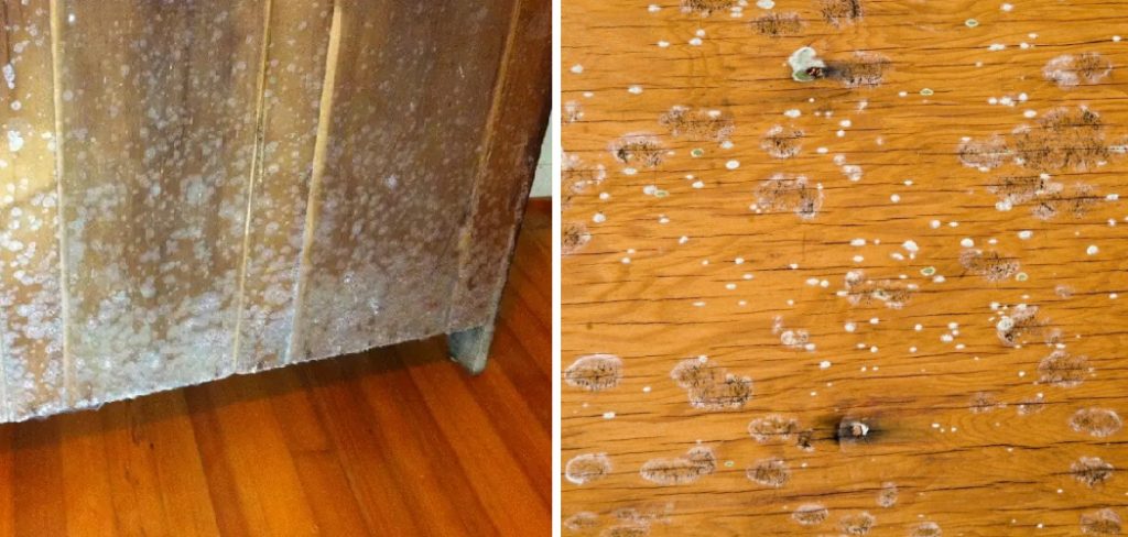 How to Prevent Mold on Wood