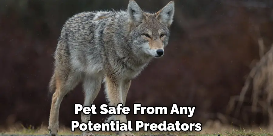 Pet Safe From Any Potential Predators