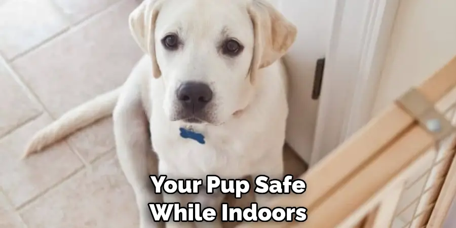 Your Pup Safe While Indoors
