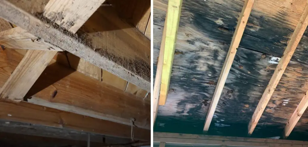 How to Remove Mold From Crawl Space Floor Joists