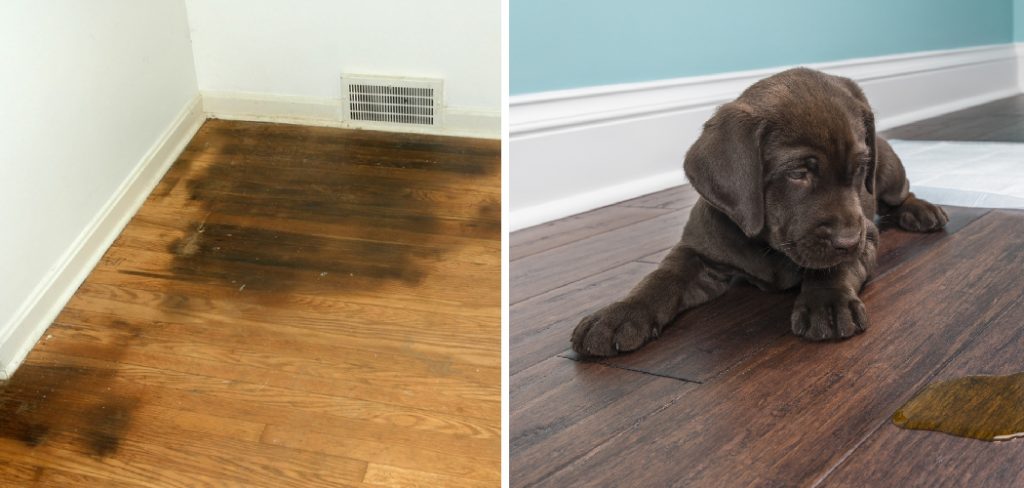 How to Treat Dog Urine on Wood Floors