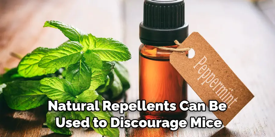 Natural Repellents Can Be Used to Discourage Mice