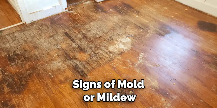 Signs of Mold or Mildew