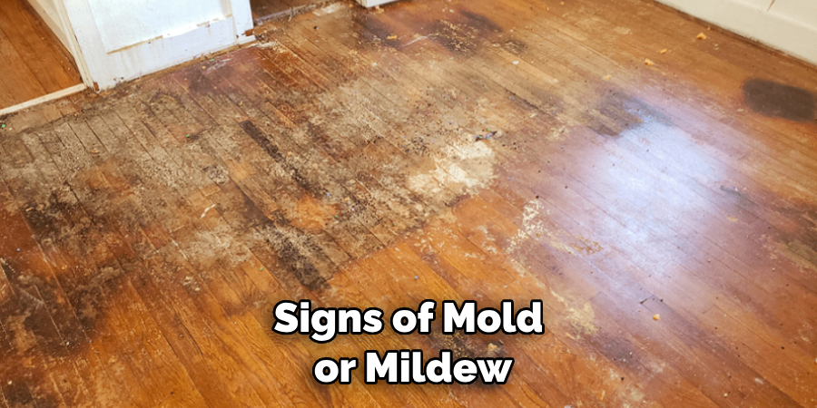 Signs of Mold or Mildew