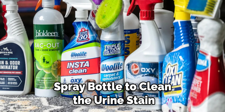 Spray Bottle to Clean the Urine Stain