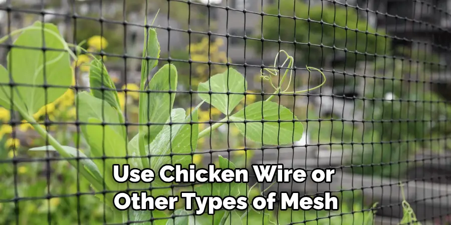 Use Chicken Wire or Other Types of Mesh
