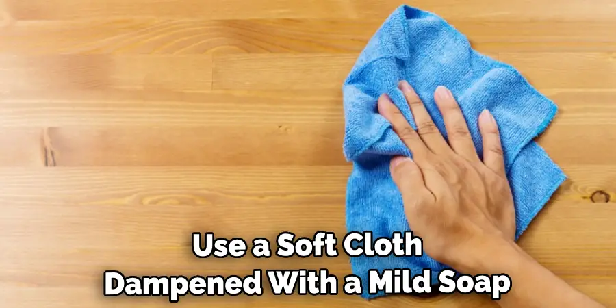 Use a Soft Cloth Dampened With a Mild Soap