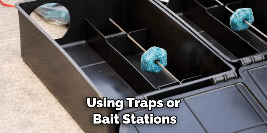 Using Traps or Bait Stations