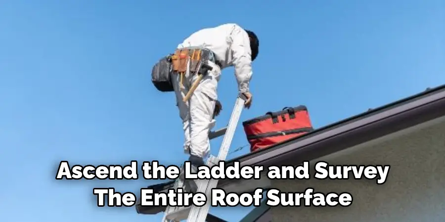 Ascend the Ladder and Survey the Entire Roof Surface