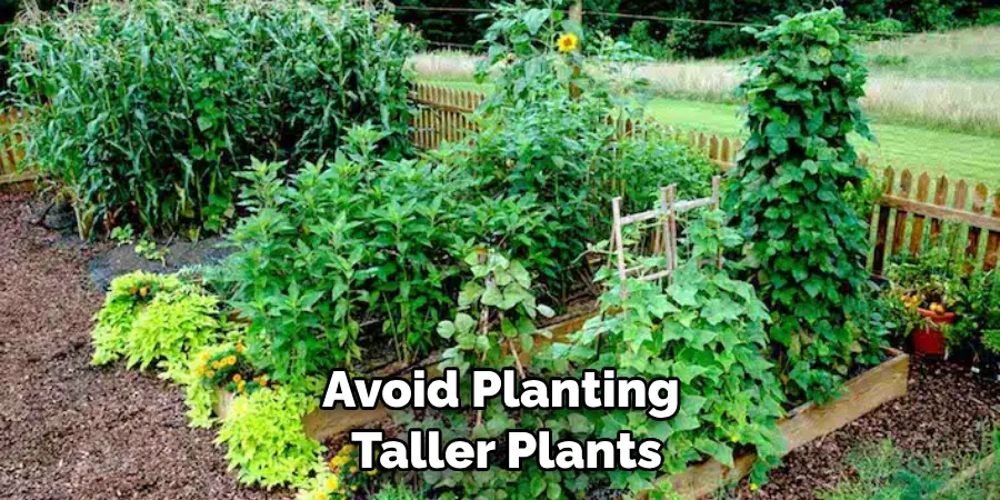 Avoid Planting Taller Plants