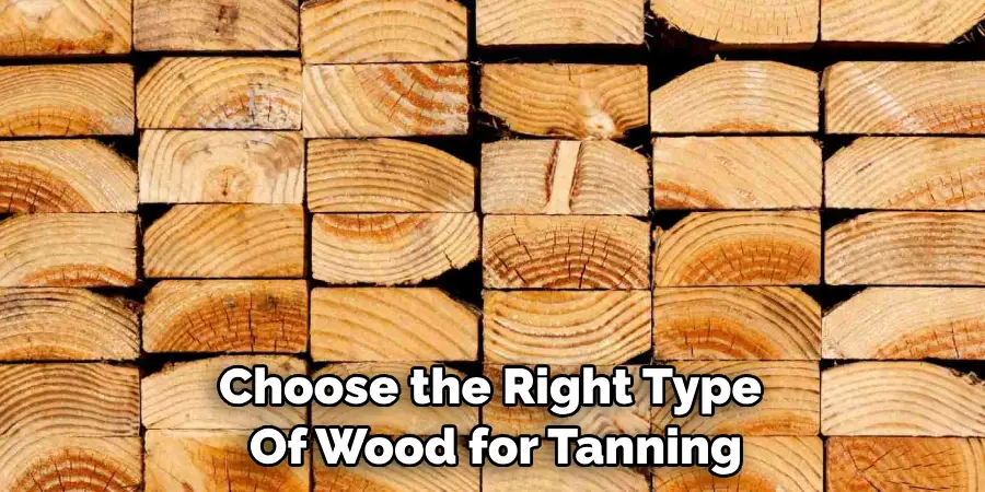 Choose the Right Type of Wood for Tanning