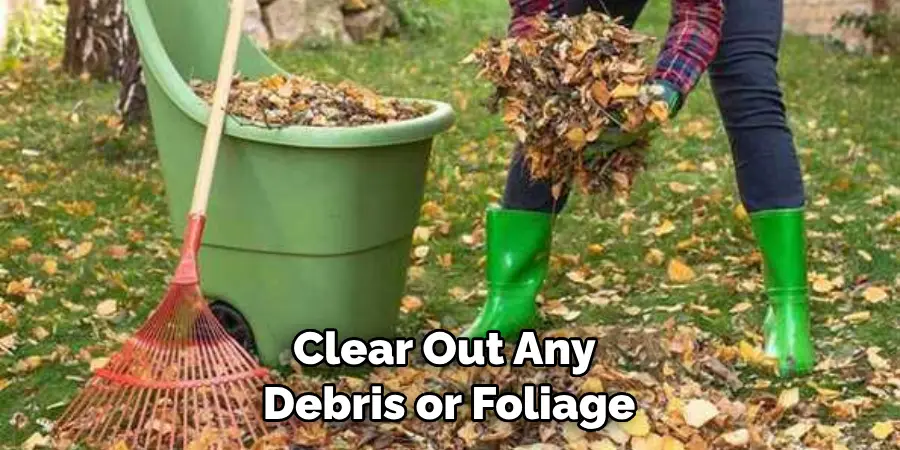 Clear Out Any Debris or Foliage