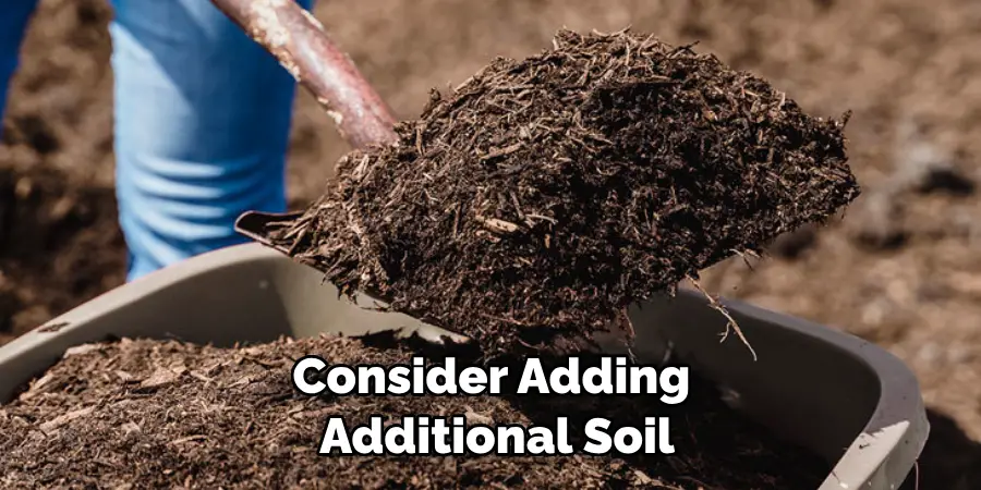 Consider Adding Additional Soil