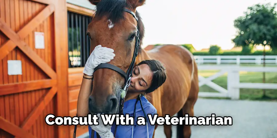 Consult With a Veterinarian