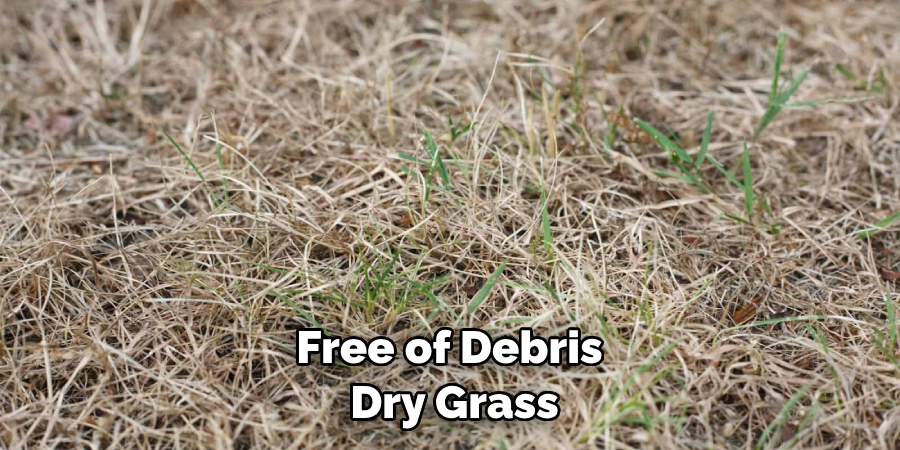 Free of Debris Dry Grass