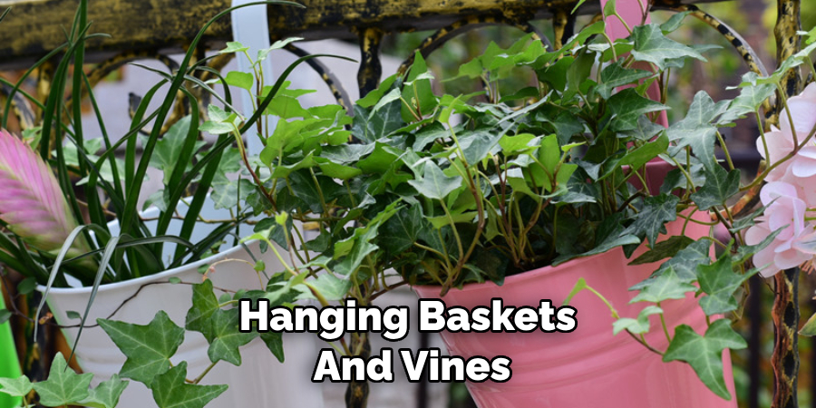 hanging baskets and vines