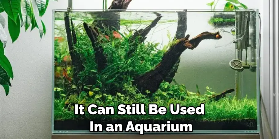 It Can Still Be Used in an Aquarium