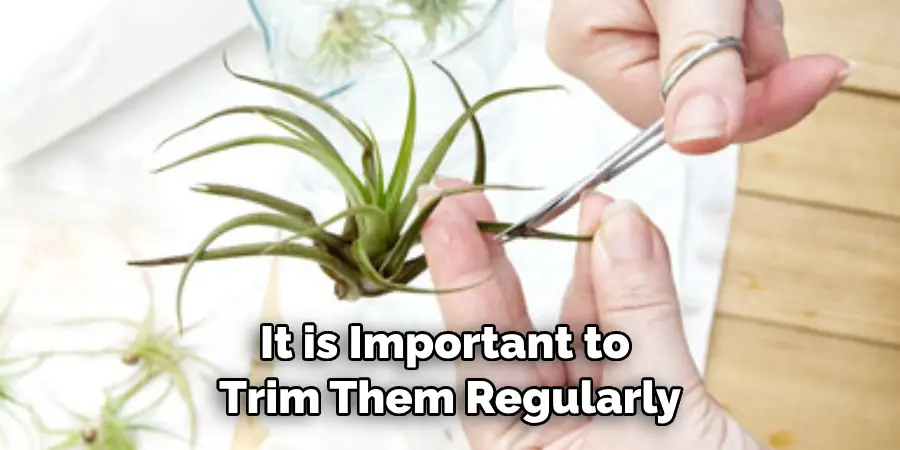 It is Important to Trim Them Regularly