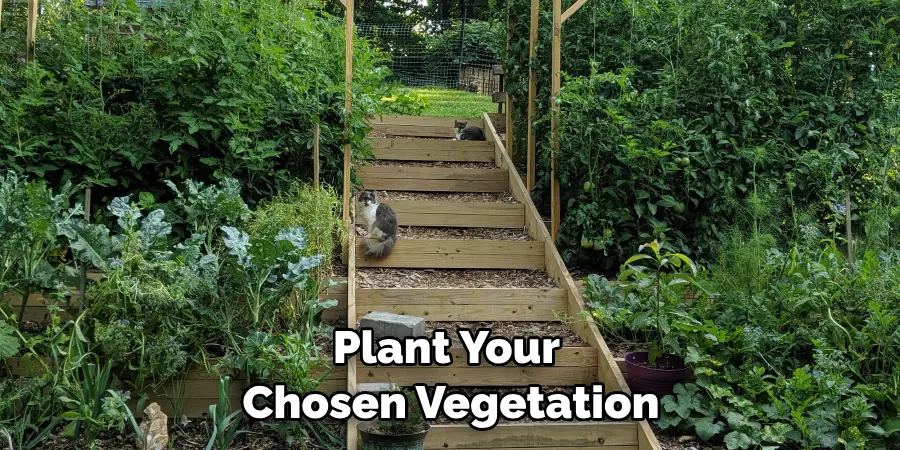 Plant Your Chosen Vegetation