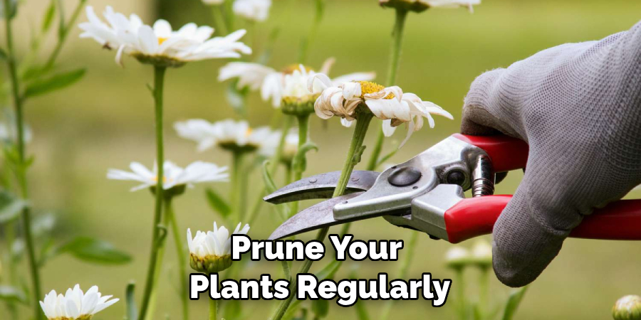 Prune Your Plants Regularly