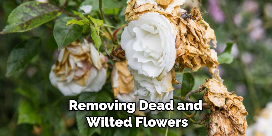 Removing Dead and Wilted Flowers