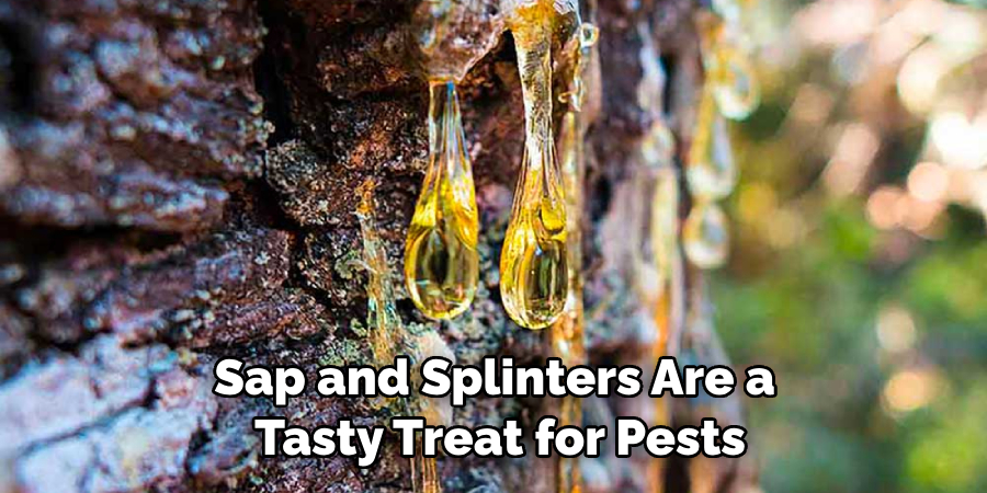 Sap and Splinters Are a Tasty Treat for Pests