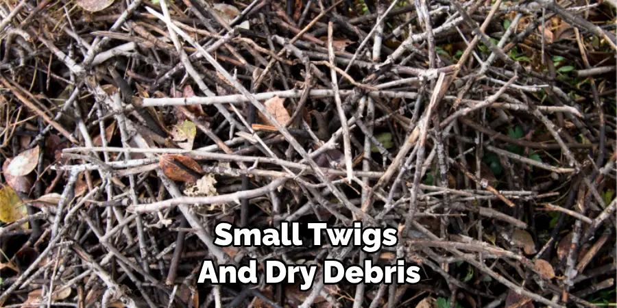Small Twigs and Dry Debris