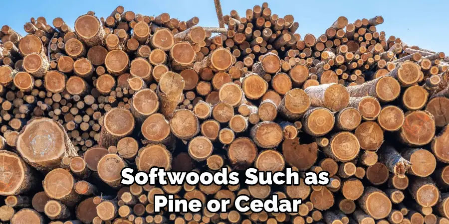 Softwoods Such as Pine or Cedar