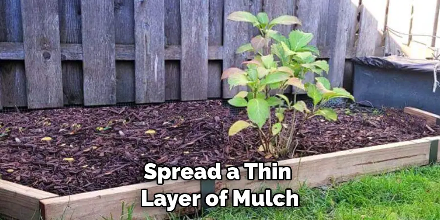 Spread a Thin Layer of Mulch